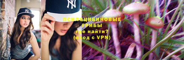 первитин Надым